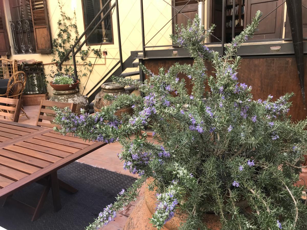 The Terrace In Santa Croce Apartman Firenze Kültér fotó